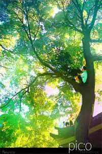 数到一百就重逢结局+番外