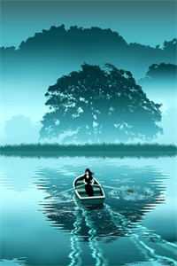 鹤别青山寄余生结局+后续