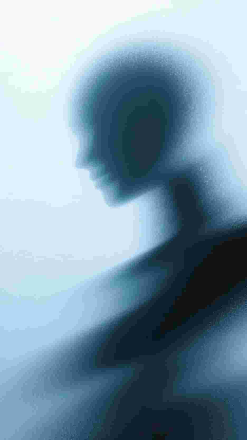 春风不染旧时痕江曜白洛星禾:(番外)+(结局)