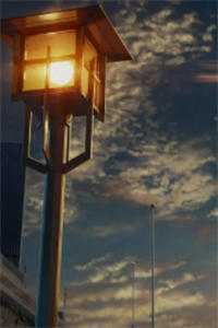 离婚后，煦少追妻火葬场全文章节