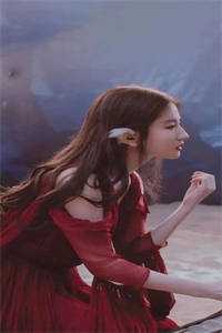 我，神州剑神，老婆魔道女帝在线阅读