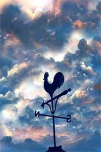 精品小说别惹南秘书，她是薄总心尖宠！