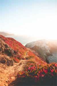 系统签到外挂，我年少便有伐天之力精修版