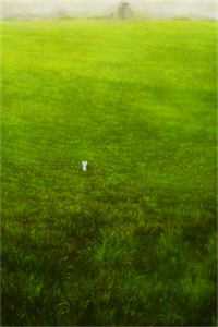 从契约婚姻到甜蜜爱恋