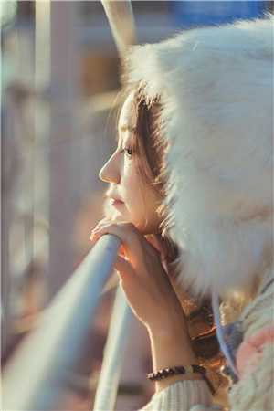 穿越七零，嫁退伍糙汉养三崽小说畅读