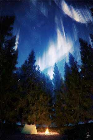 飞鸟与鱼不相逢