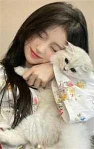 叶妩裴悸的小说雾起时分没有你小说阅读