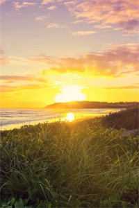 赤绳缚莲心番外