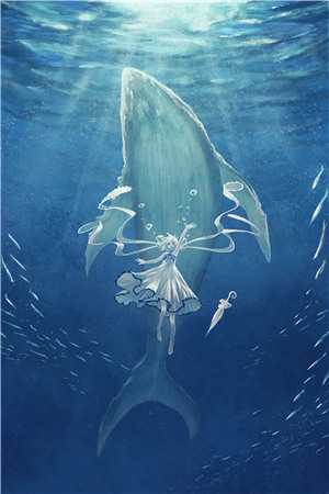 家属拒给营养费后，这肾我不捐了番外+无删减