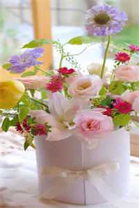 婆婆抠烂我美甲，我掀翻年夜饭:全本+番外+后续