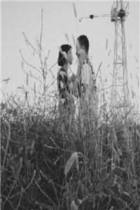 夫君毁诺另娶，我死后他疯了:全文+结局+番外