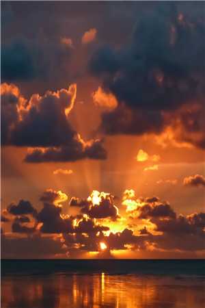 迷雾之下：常青之殇:全文+后续+结局