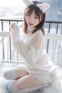 他的维纳斯全文+番外