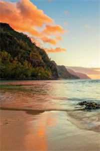 和海王闪婚后，竹马悔哭了洛明洲海王全本+番外+后续