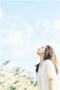 我被全寝恨之入骨后小说