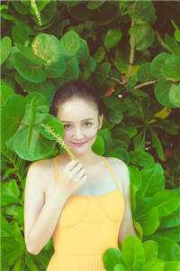 AI妊娠颠覆千年秘方:全文+后续+结局