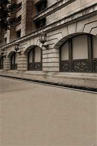 繁花盛意难平陆依霜轩辕翊全文小说