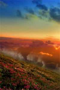 穿进校园文里，我做了女配的狗腿赵小安傅涵之全章+后续