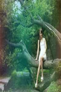 夜阑风静待归时沈知意深哥:(番外)+(全文)