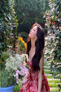 梦醒爱意已尽热门小说宋屿安宋枝