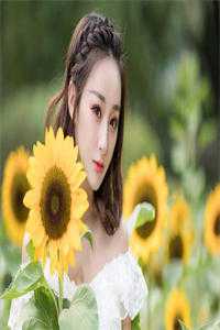 安声宋雯月光背面的告白式小说全文免费阅读