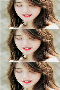 雁字回时月已沉后续