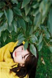 贵女云鬓酥腰，狼王质子囚娇入帐全文无删减