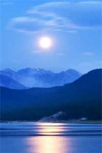 竹马婚礼现场抽盲盒换新娘，我带亿万家财改嫁聋哑少年后他急疯了结局+番外