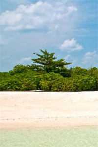 一笔成伤，一笔疗愈无删减+无广告