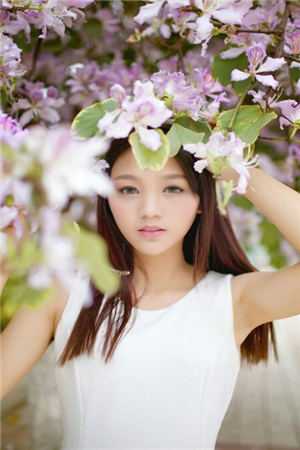 顾总，你的白月光死了十年了全本+番外+后续