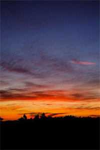 我离开后，夫君和儿子悔疯了青梅阿禾小说