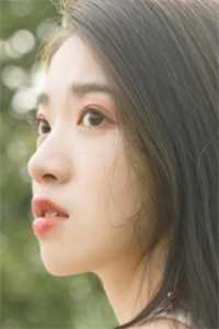 时光里的过客无删减+无广告