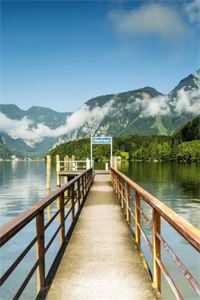 黑马河畔·石咒无删减全文